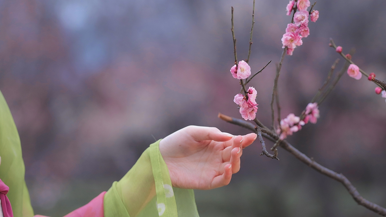 唯美古风视频「落梅妆」（图ZMzMxOTEzMDIw） - 短片 - 站酷设计师马大可_奇画原创素材 - 站酷ZCOOL