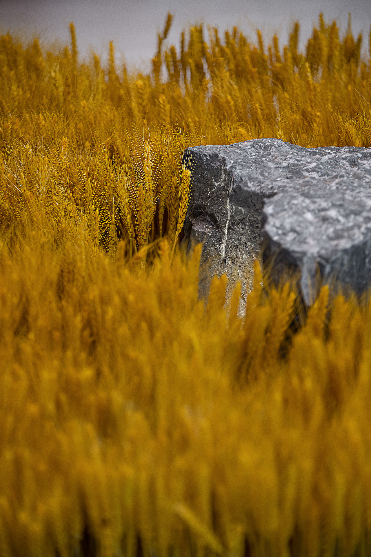 空间摄影——川连酒荟