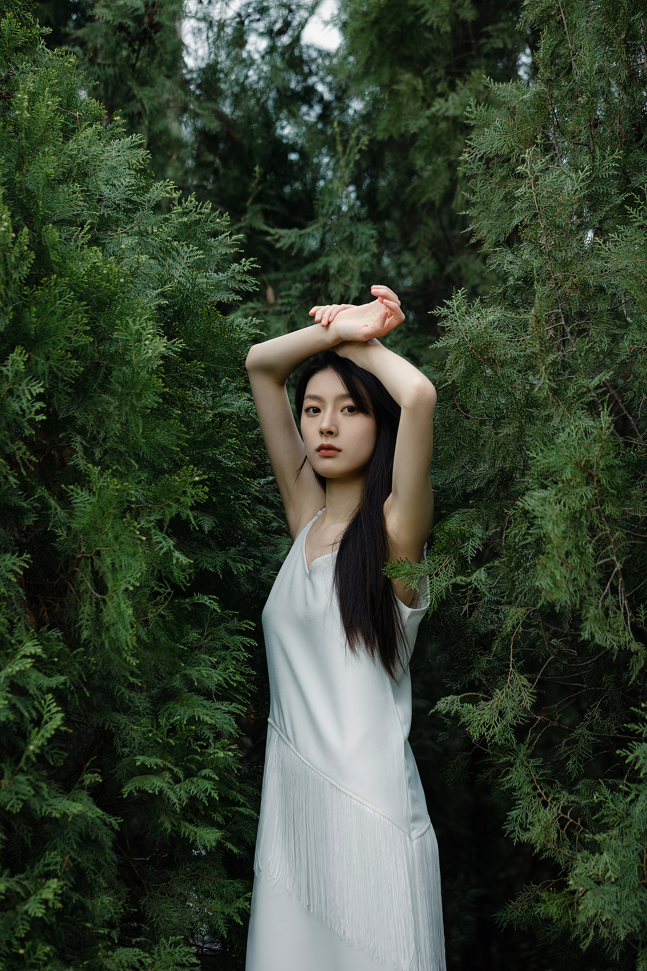 Storymix · 静谧幻想