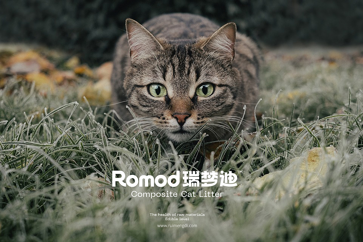 宠物品牌vi 包装 宠物包装 猫砂包装 猫砂包装设计(图ZMzIxOTg1ODcy) - 包装 - 站酷设计师郑昌洪品牌vi包装原创素材 - 站酷ZCOOL