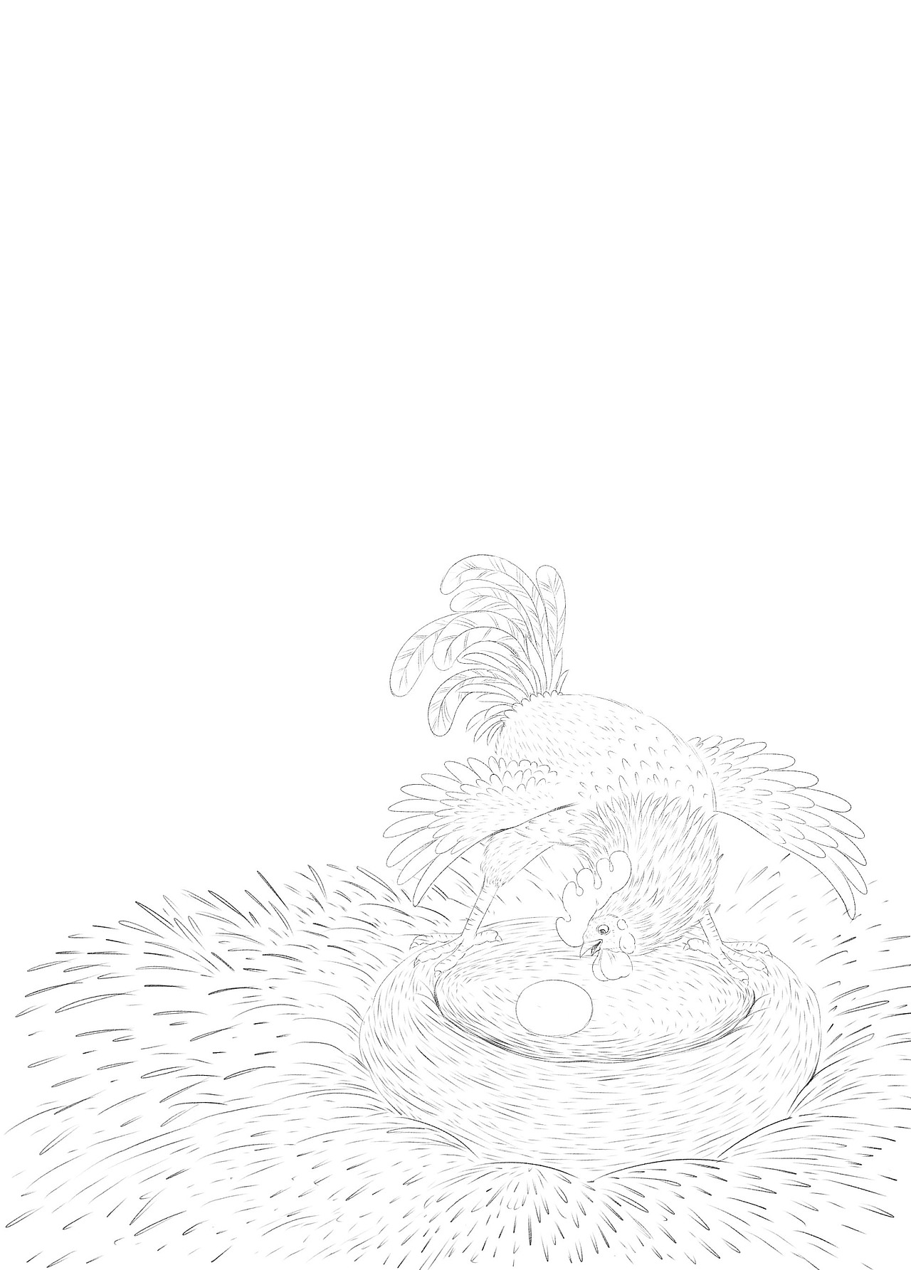 名家故事“彩虹花”桥梁书《失踪的大公鸡》线稿