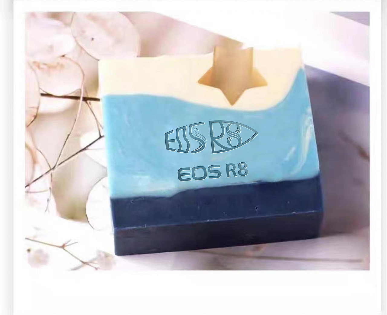 佳能EOS R8 线下物料p图示意