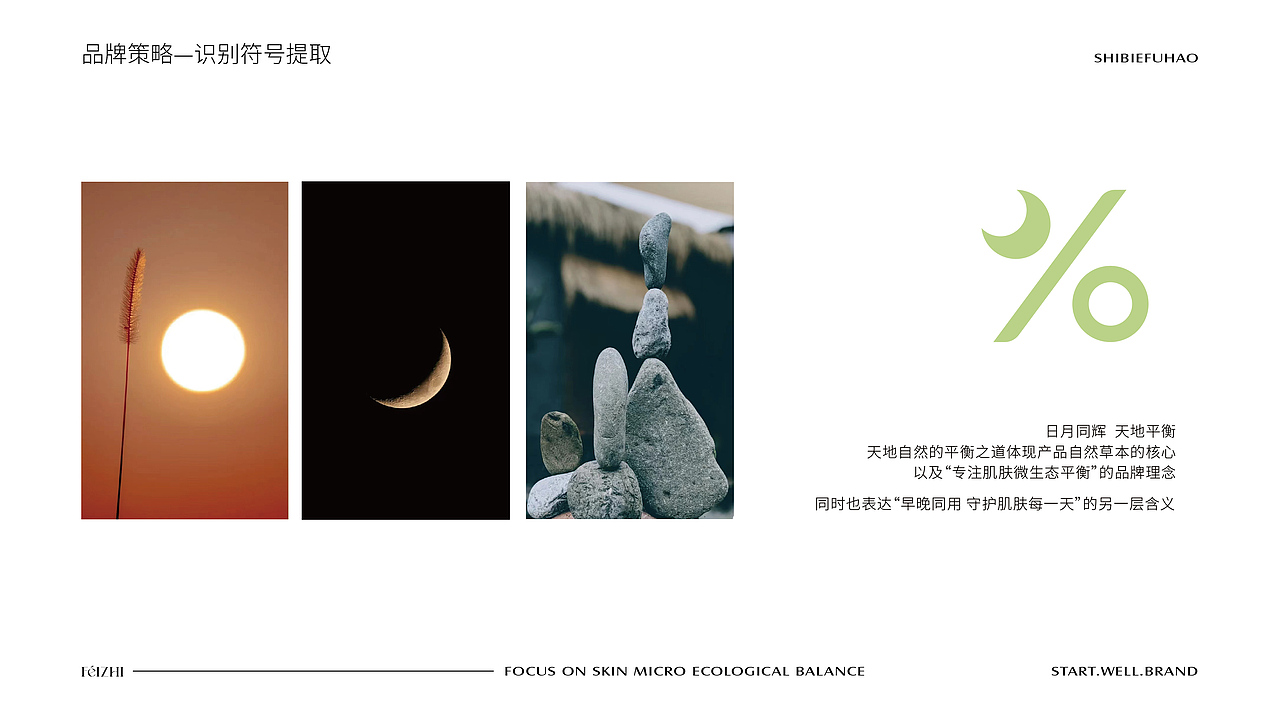 菲芝x一棵树品牌 ∣ 品牌策划全案