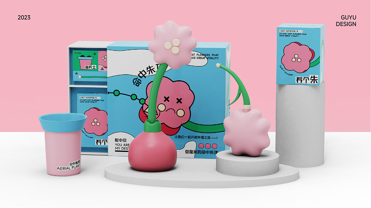 「空中植物」朱顶红植物品牌包装设计