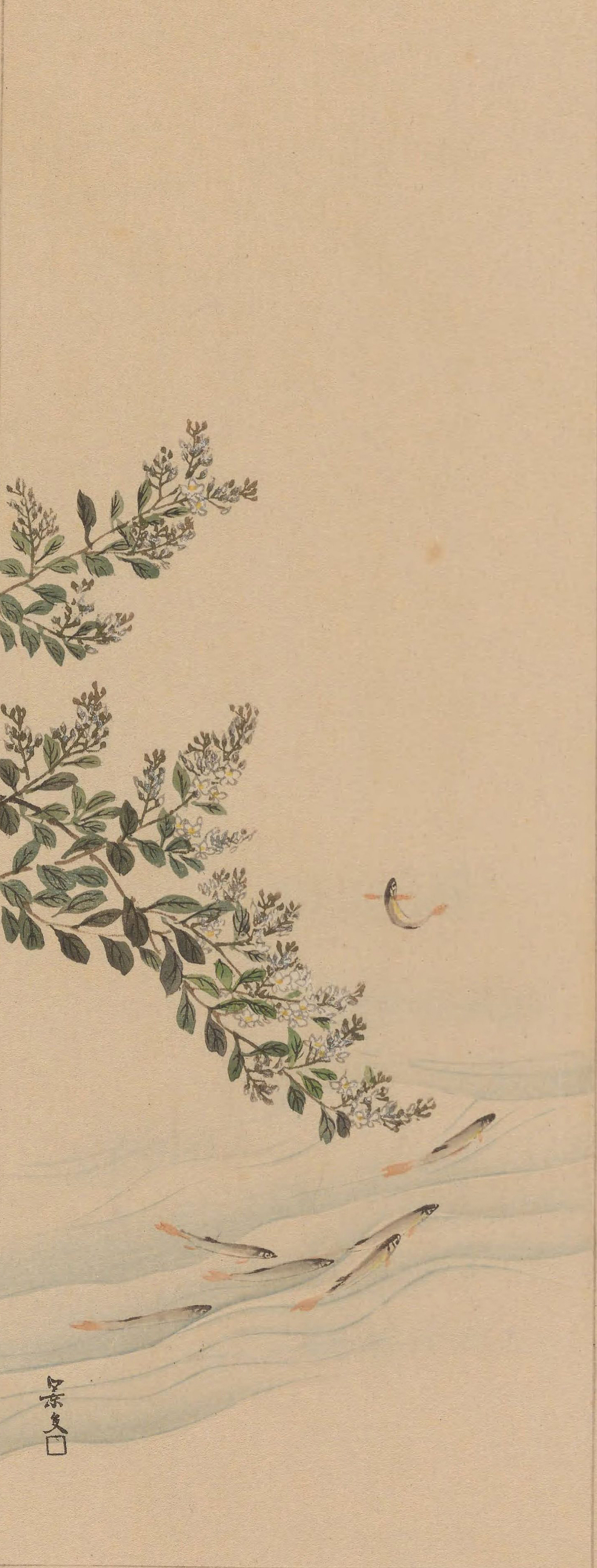 《心华帖》乙册插图欣赏