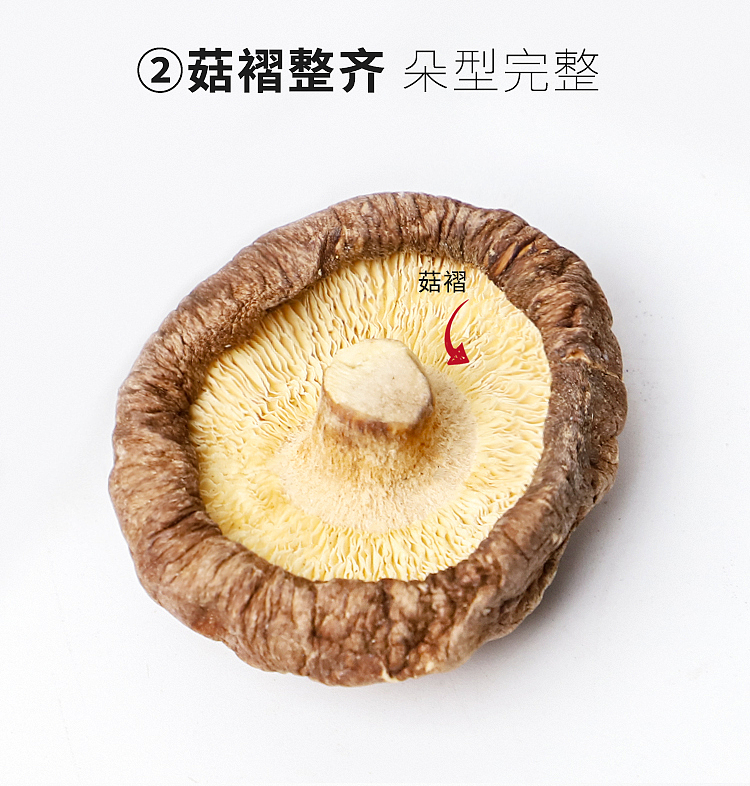 香菇详情页（图ZMzUzMzczMjgw） - 电商 - 站酷设计师Y一Fan小范儿原创素材 - 站酷ZCOOL