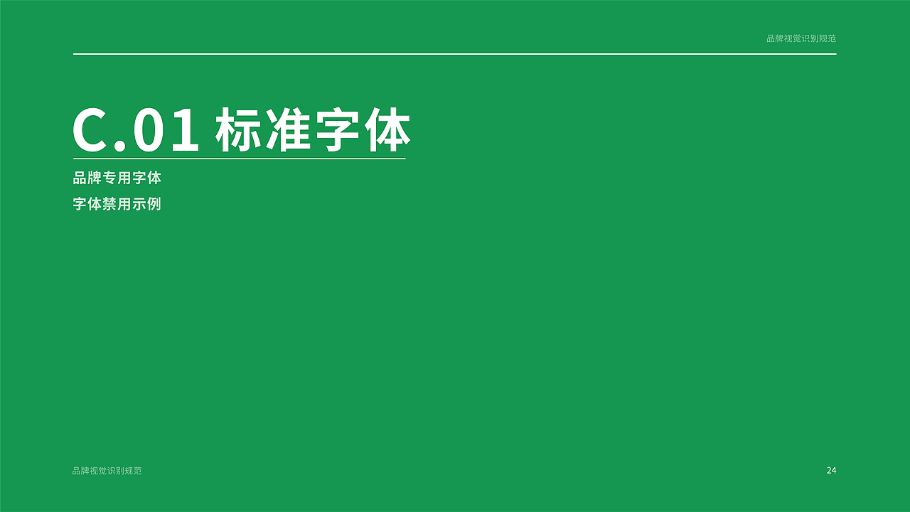 《RG》品牌视觉手册