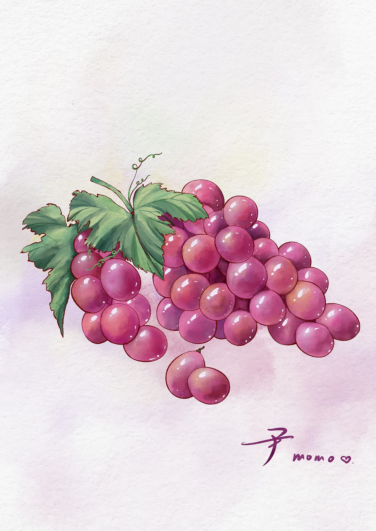 画了一串水彩葡萄（图ZMzI5NzI5MzQ0） - 创作习作 - 站酷设计师尹momo努力画画原创素材 - 站酷ZCOOL