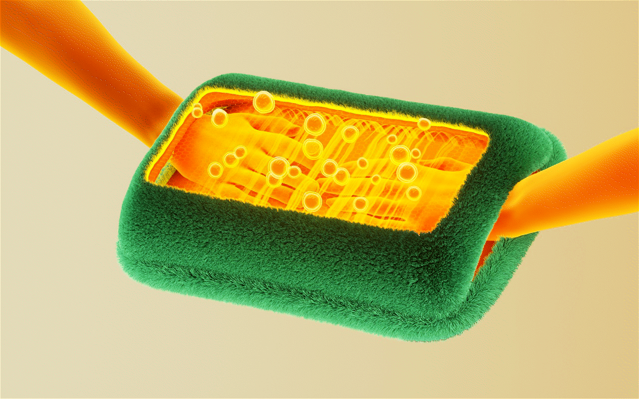 2023捞图发一发-轻点喷（图ZMzY2NTMxNzky） - 产品 - 站酷设计师旦旦113原创素材 - 站酷ZCOOL