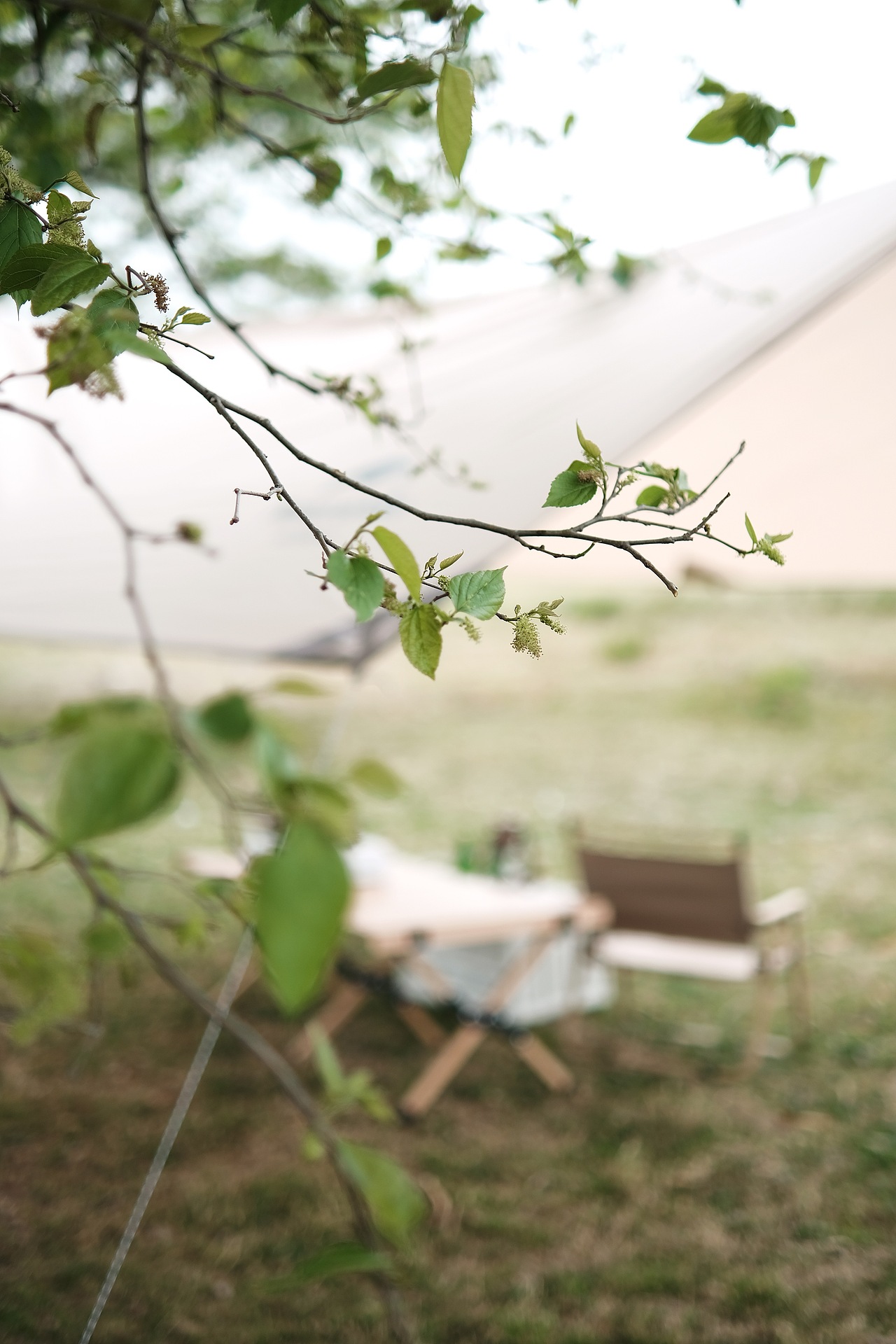 富士Xt30-泉州江南公园露营纪实亲子拍照