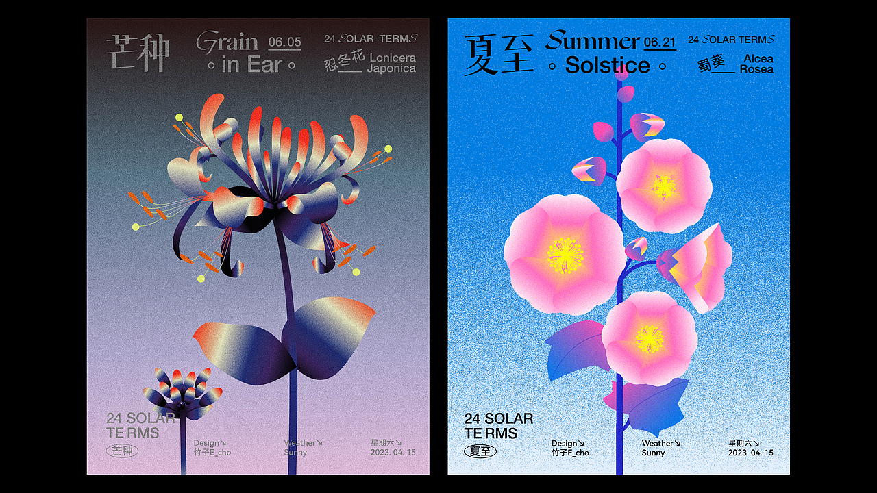 二十四节气花卉