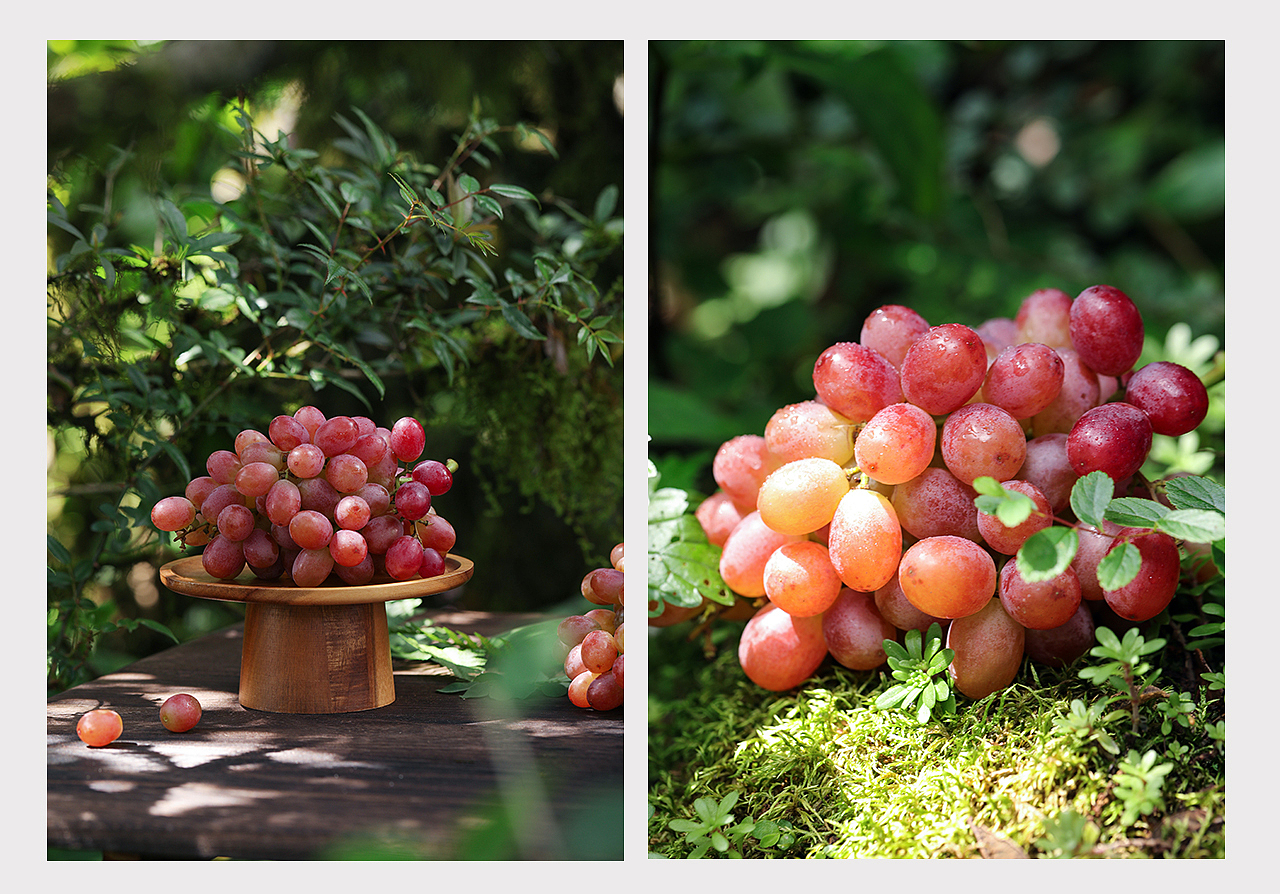 葡萄/橘子/橙子/余甘子/油苷/橄榄/莲子/桃/水蜜桃（图ZMzUxNzMzODIw） - 产品摄影 - 站酷设计师雪子猴原创素材 - 站酷ZCOOL