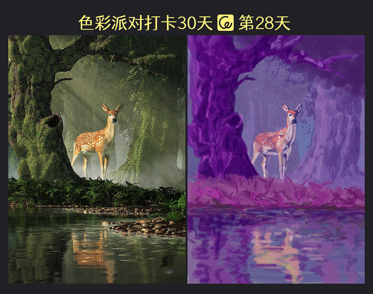 色彩派对30天-4-2