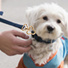 16个4款形状钥匙扣套装