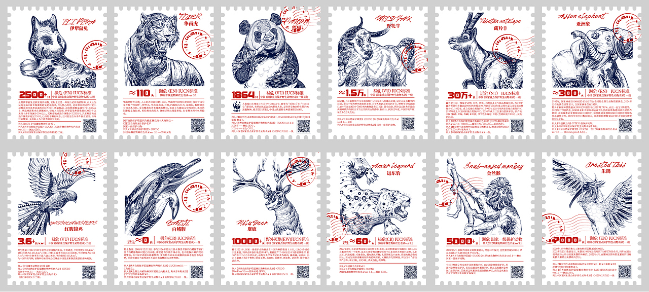濒危动物系列国潮插画