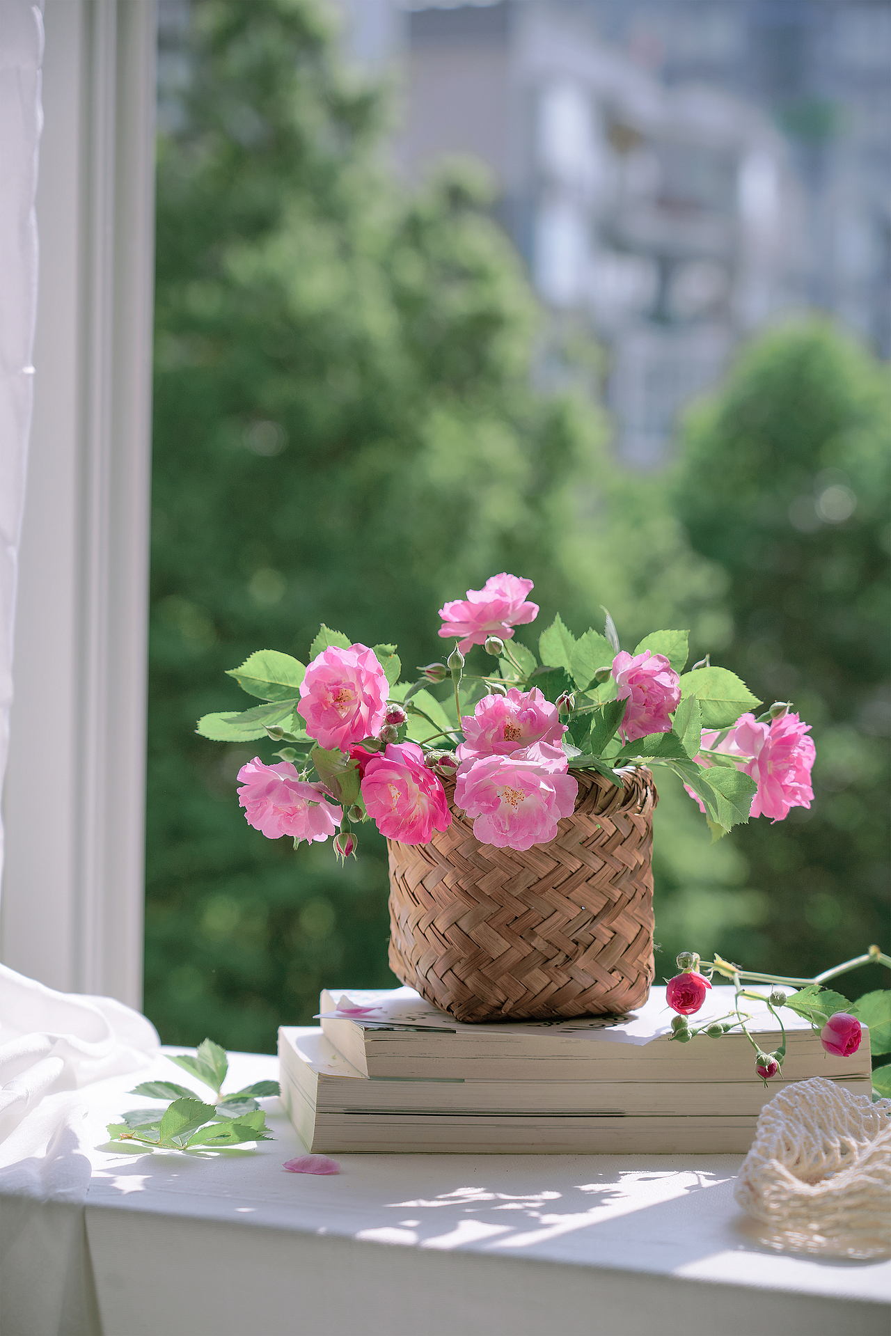 蔷薇花（图ZMzQyMzY5ODc2） - 其他摄影 - 站酷设计师小麦芽MY原创素材 - 站酷ZCOOL