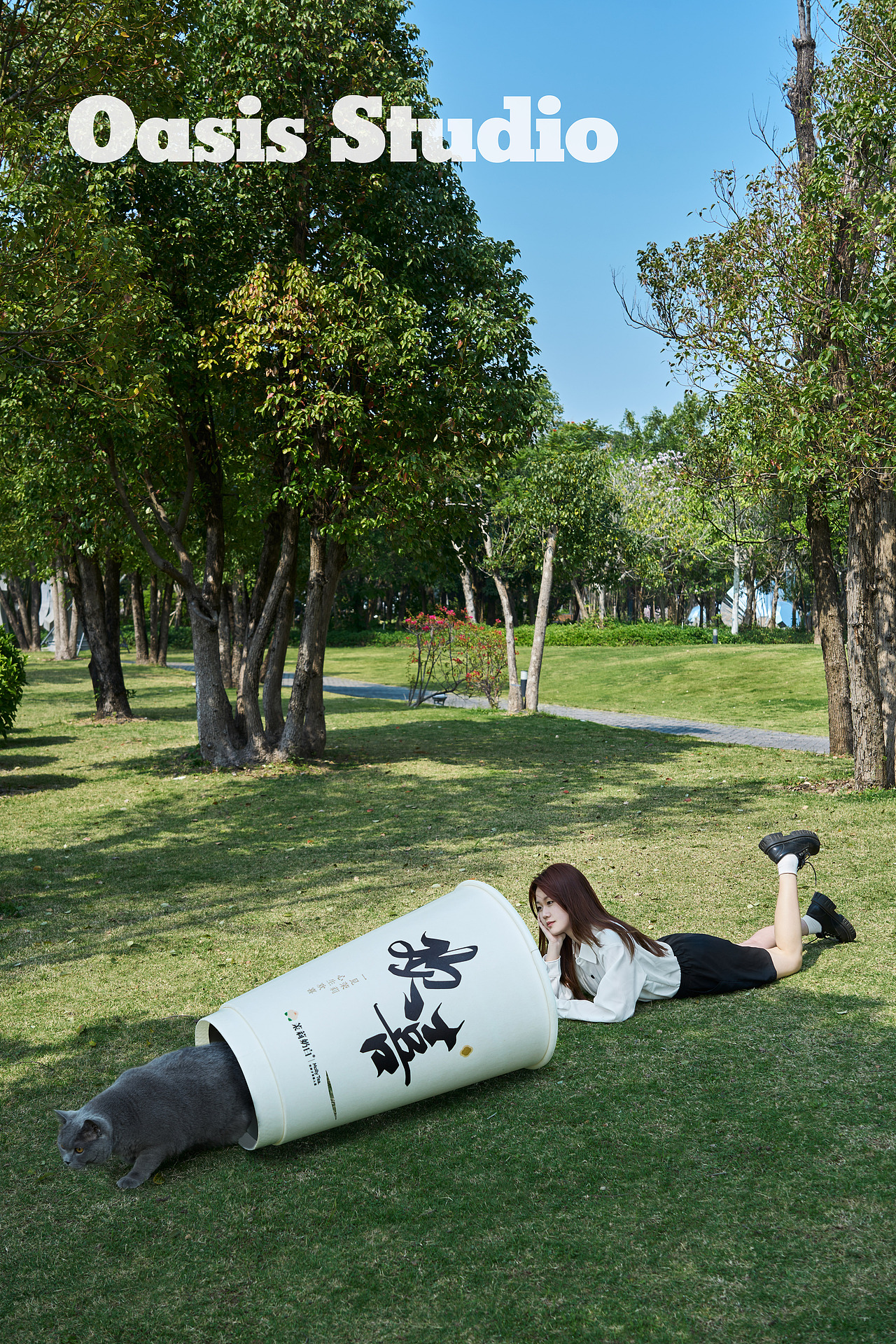 茉莉奶白猫猫创意图组（图ZMzMyNjAwNDA0） - 美食摄影 - 站酷设计师绿洲城颜究所原创素材 - 站酷ZCOOL