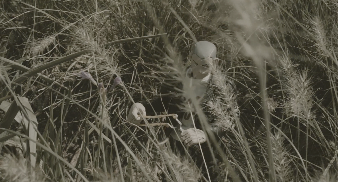 视频徒步组-rafe-21s 