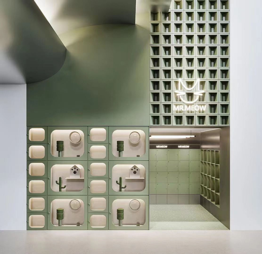 猫咖|又是撸猫的一天