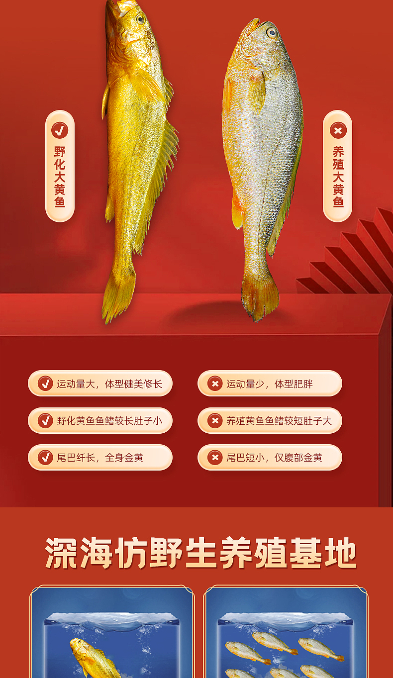 野化黄鱼详情2.0（图ZMzU5OTMyMjM2） - 电商 - 站酷设计师Maymay阿原创素材 - 站酷ZCOOL