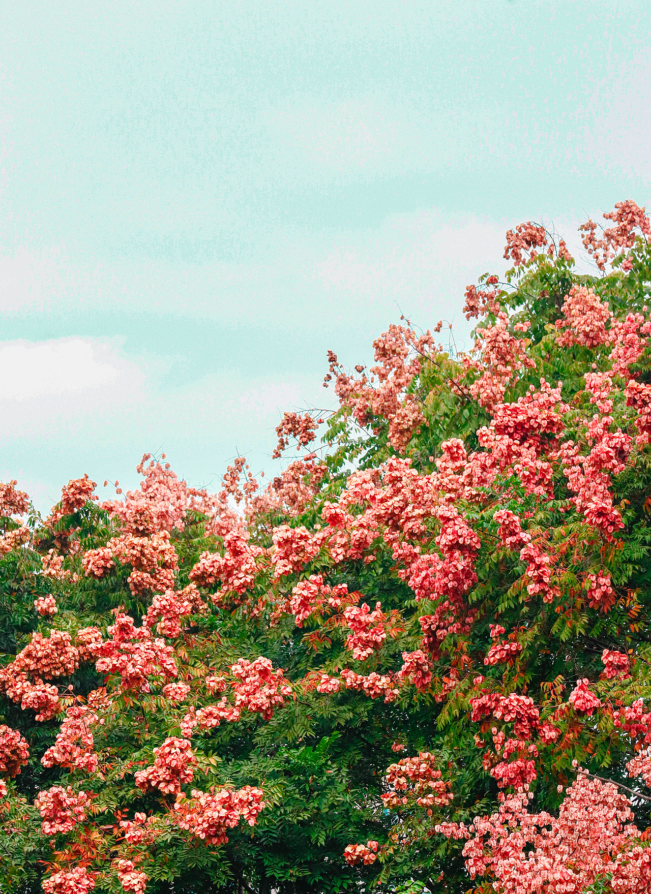 秋色印染了我的双眼（图ZMzIwNzU2NDY4） - 风光摄影 - 站酷设计师桃子视觉原创素材 - 站酷ZCOOL