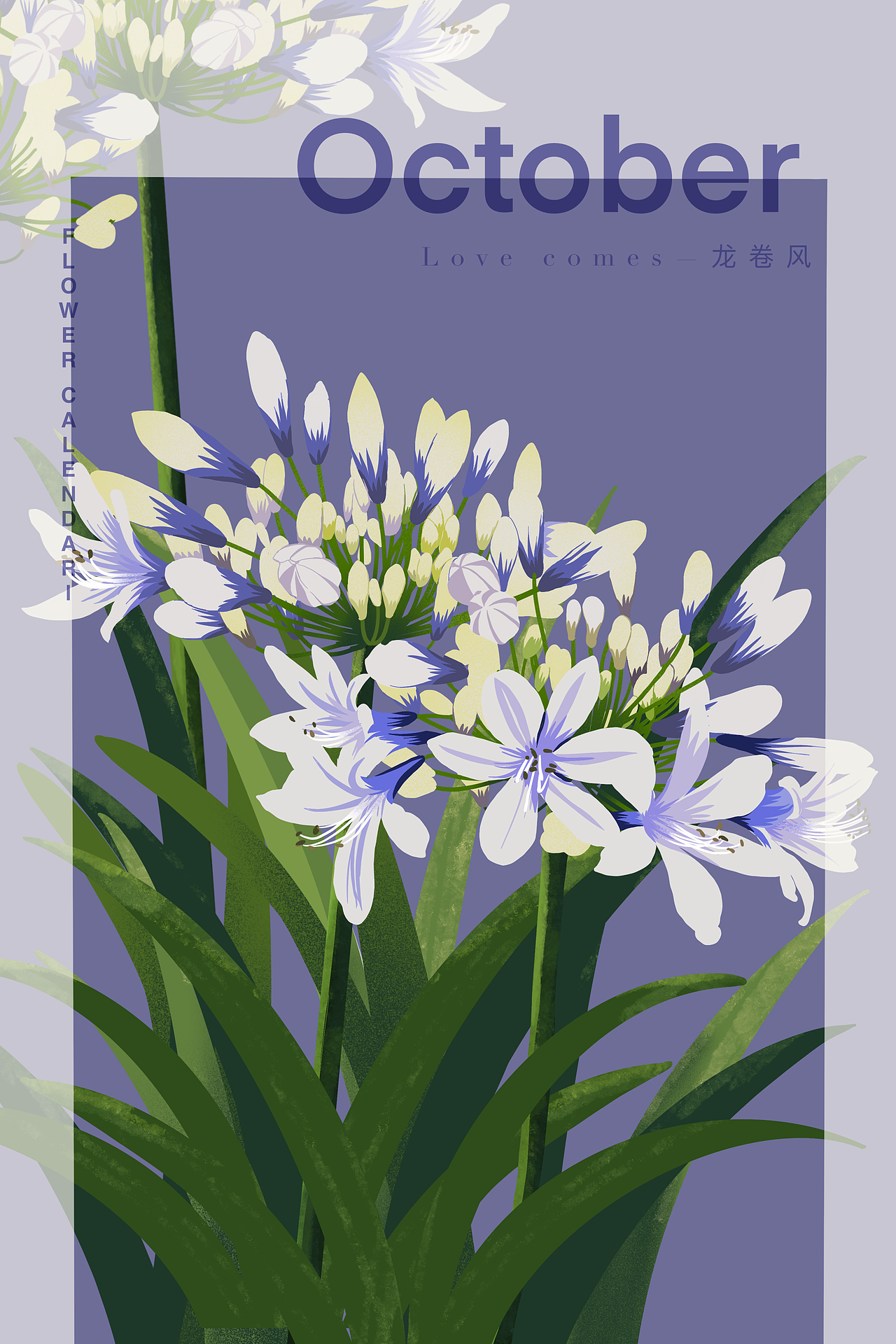 扁平风花卉插画十二月台历