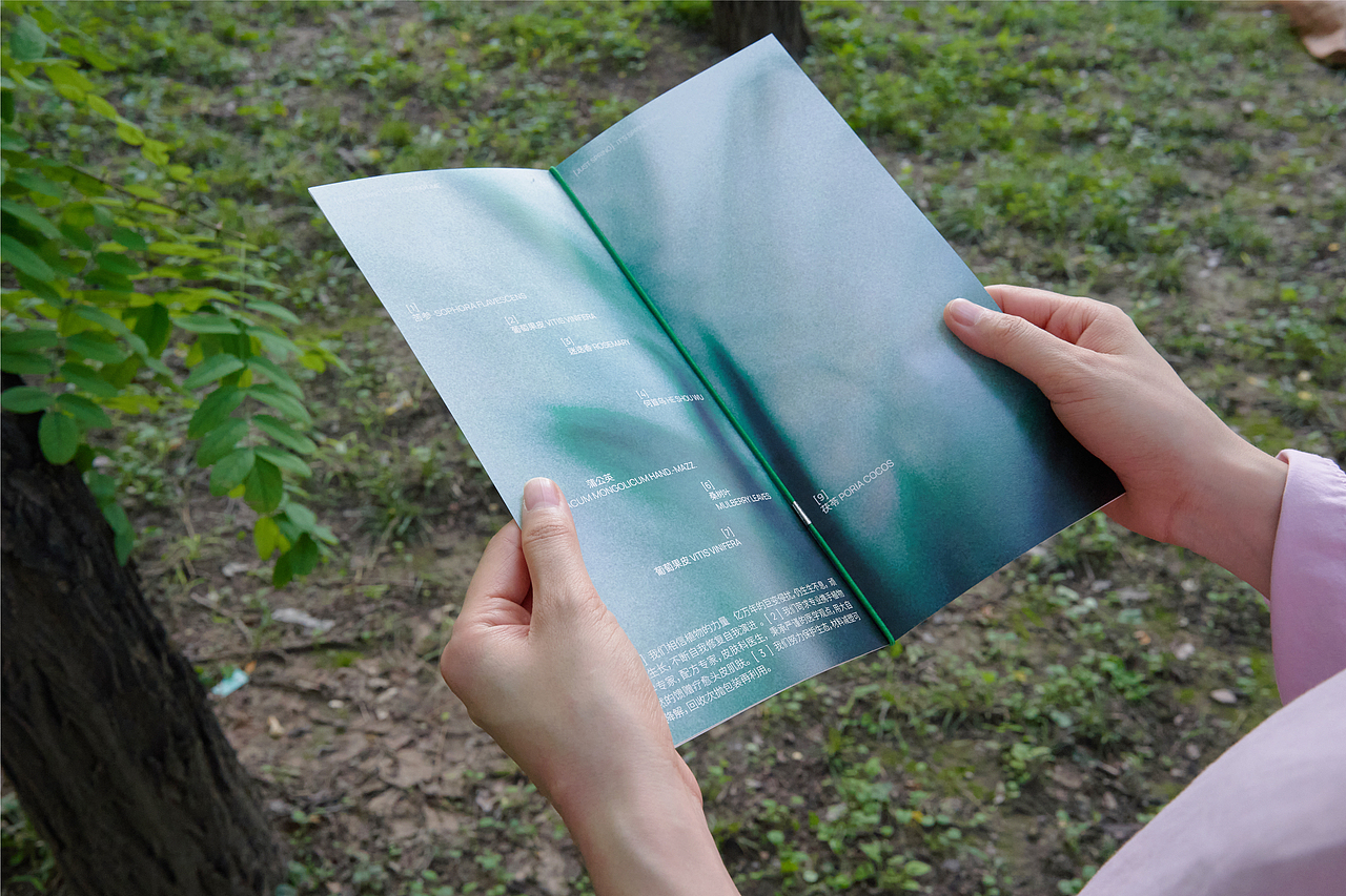 春在Just Spring :化妆品品牌与包装设计