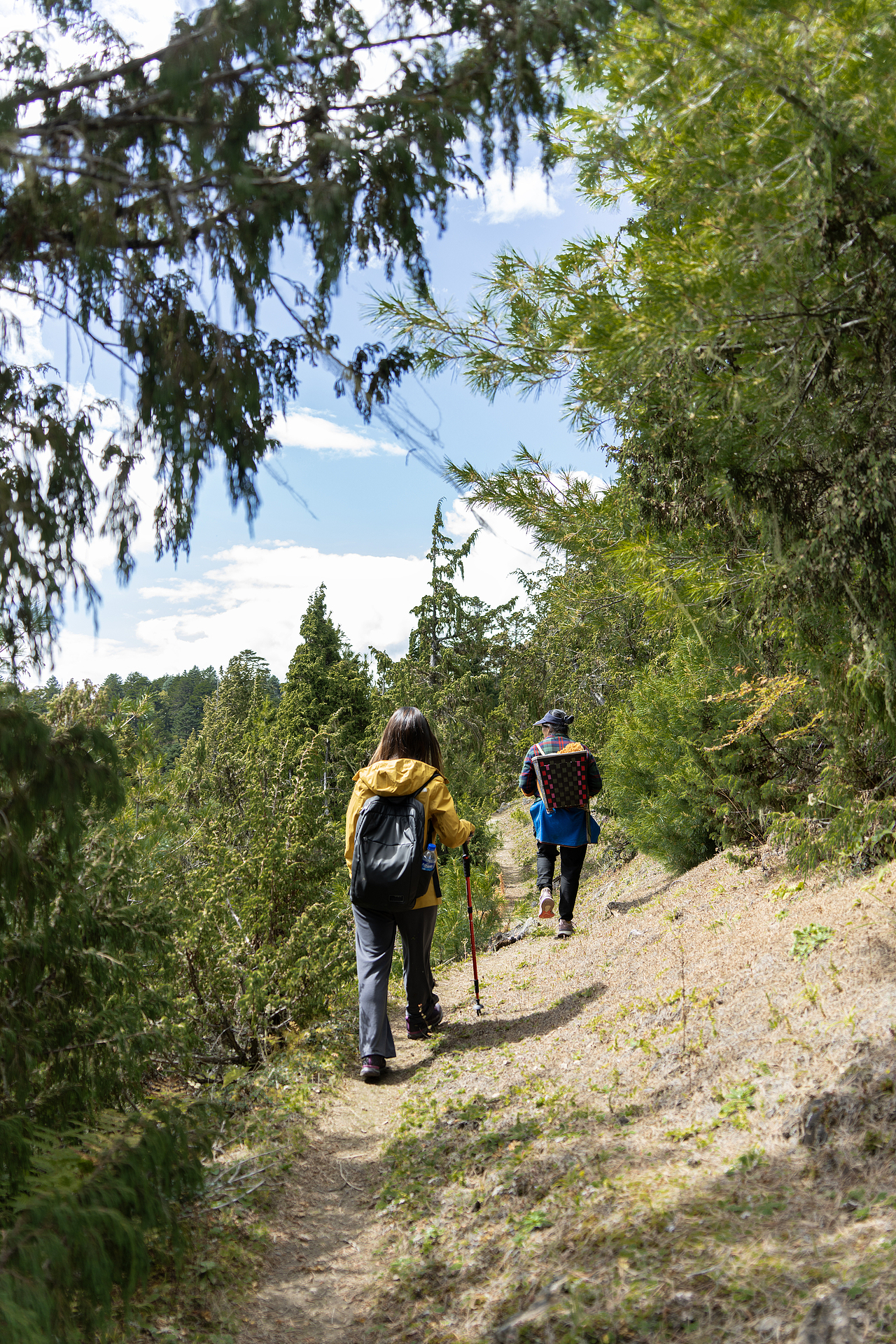 大概总往山上跑 向导阿姨走山路都健步如飞的 我们总跟不上她的步伐