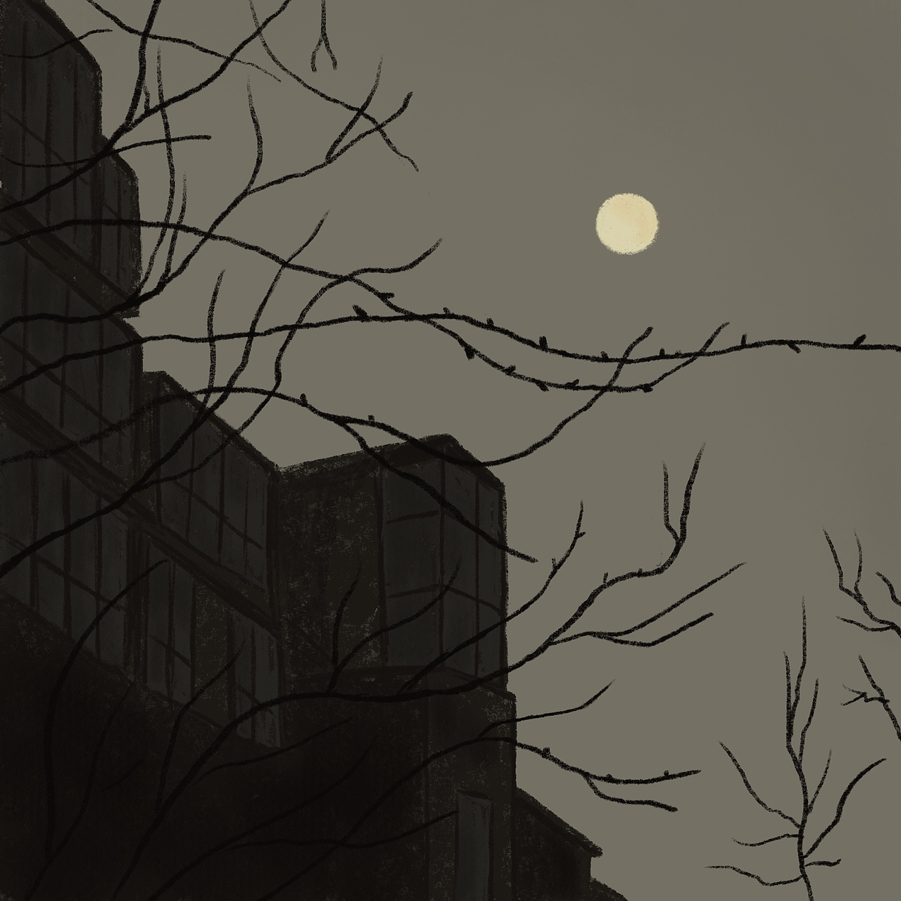 月娘总是照着我们