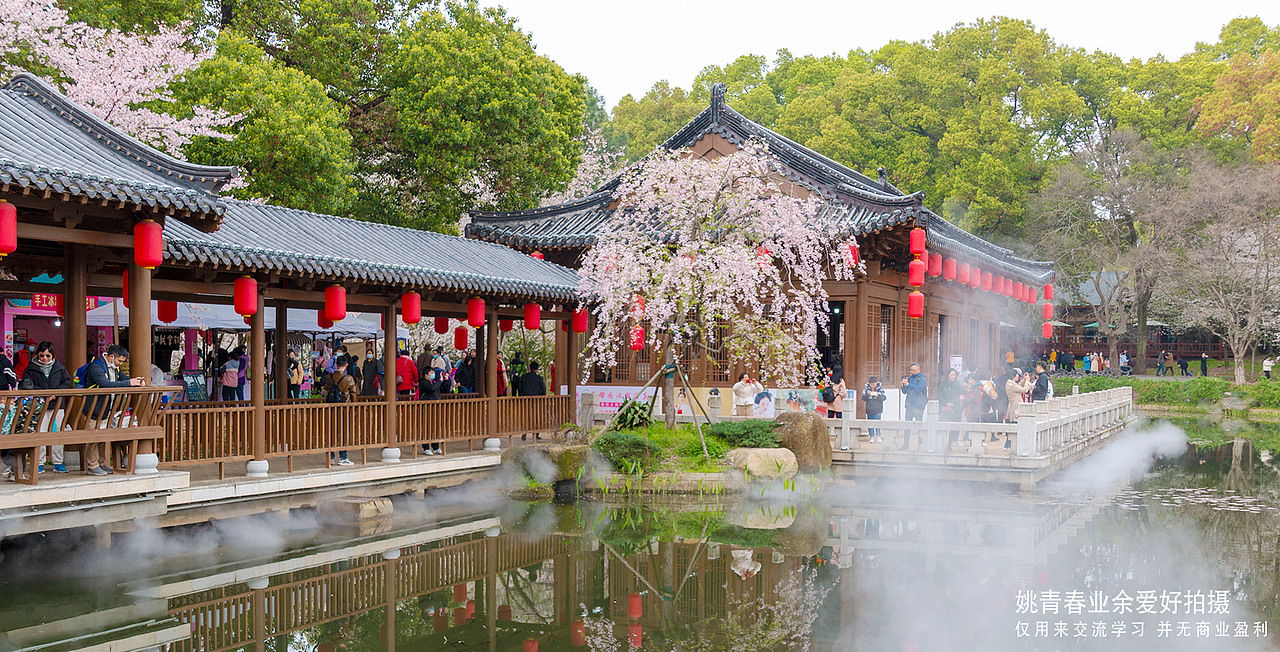 武汉东湖磨山樱花园姚青春2023年随拍照片1