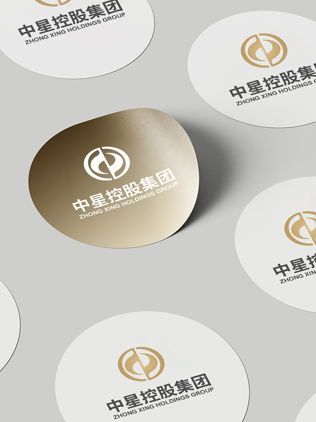 中星控股集团|logo设计 金融logo 集团logo 投资logo