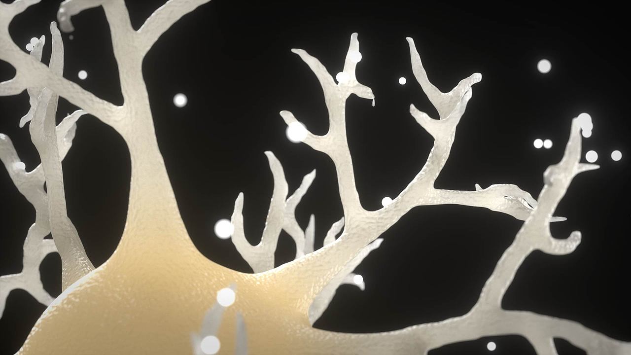 在当下，截肢患者都有什么选择？代价又是什么？（图ZMzQ2NDQ2NjI4） - 动画/影视 - 站酷设计师魏宇杰原创素材 - 站酷ZCOOL