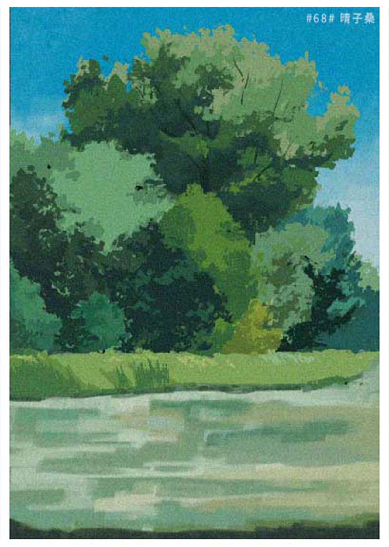 【色彩班长】色彩练习20天总结三