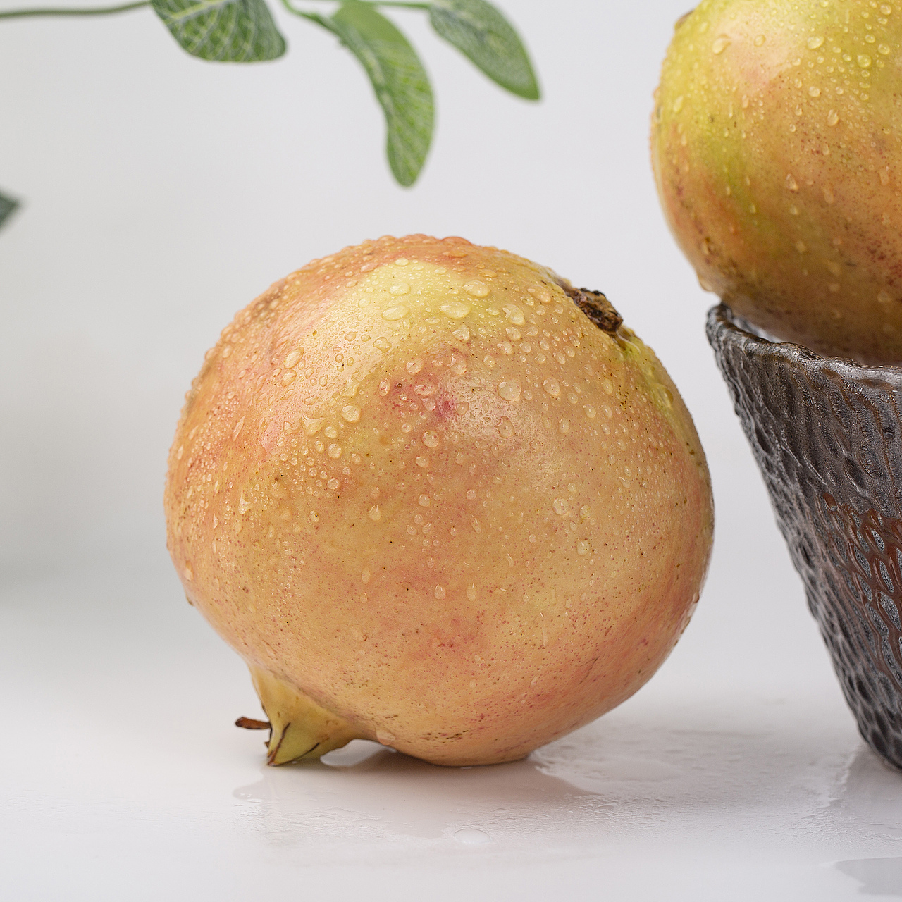 四川突尼斯红钻软籽石榴