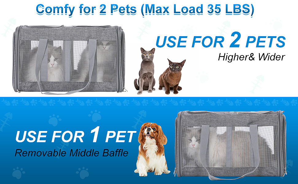 产品摄影广告拍摄亚马逊宠物用品拍照视频制作主图设计