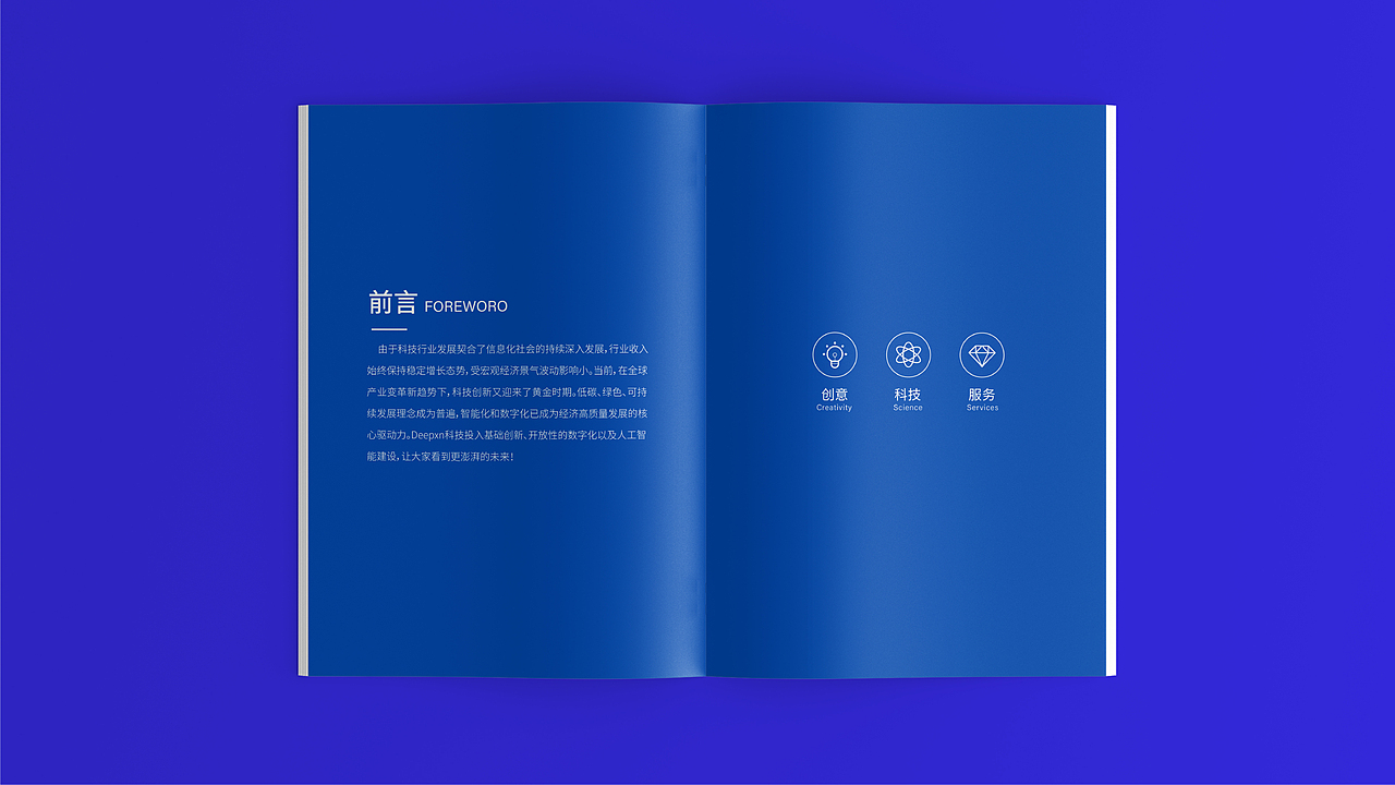 Y先生2022平面作品集