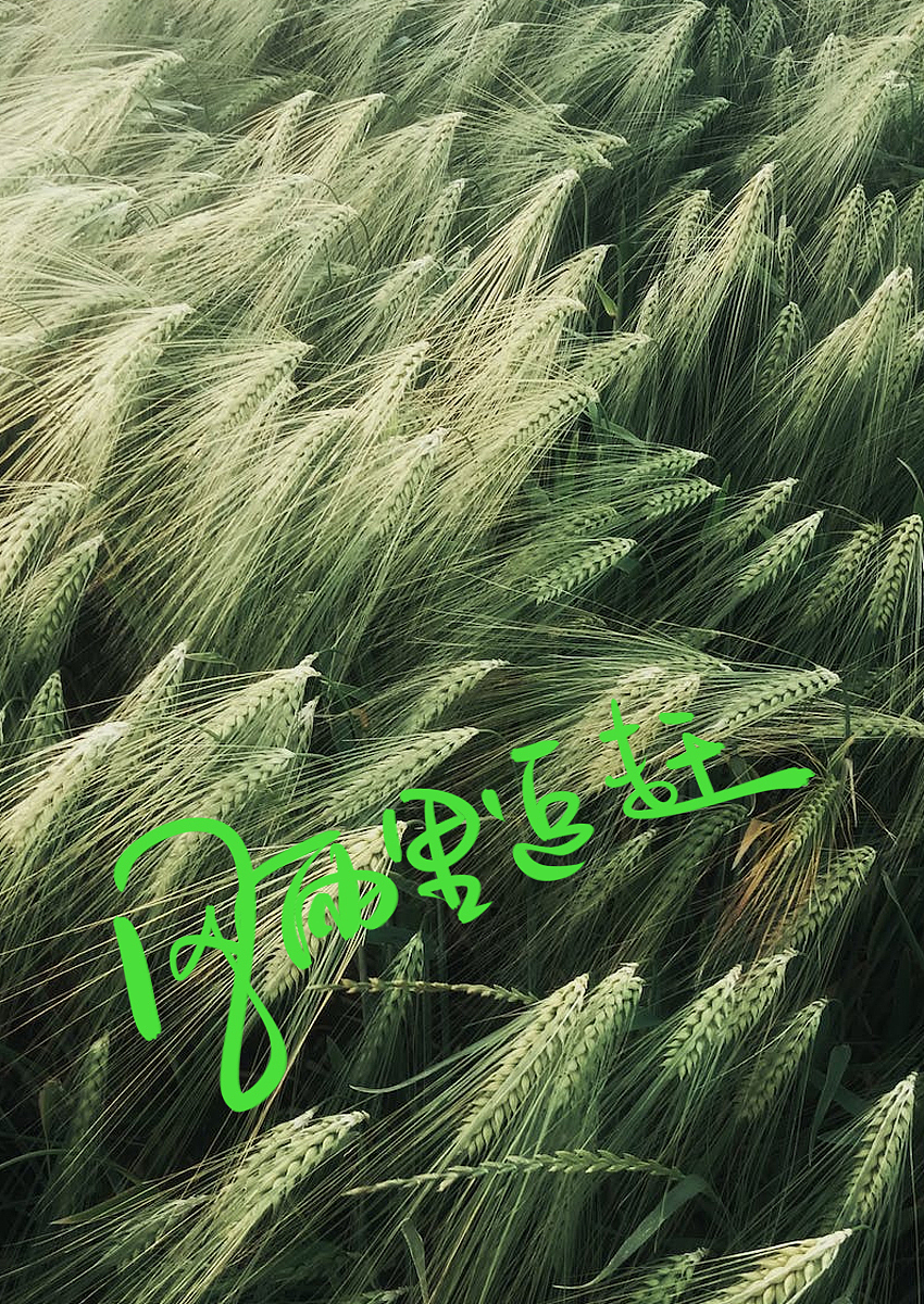 坚持每天听完一个人的歌「今天要听的歌手是-黄家驹」