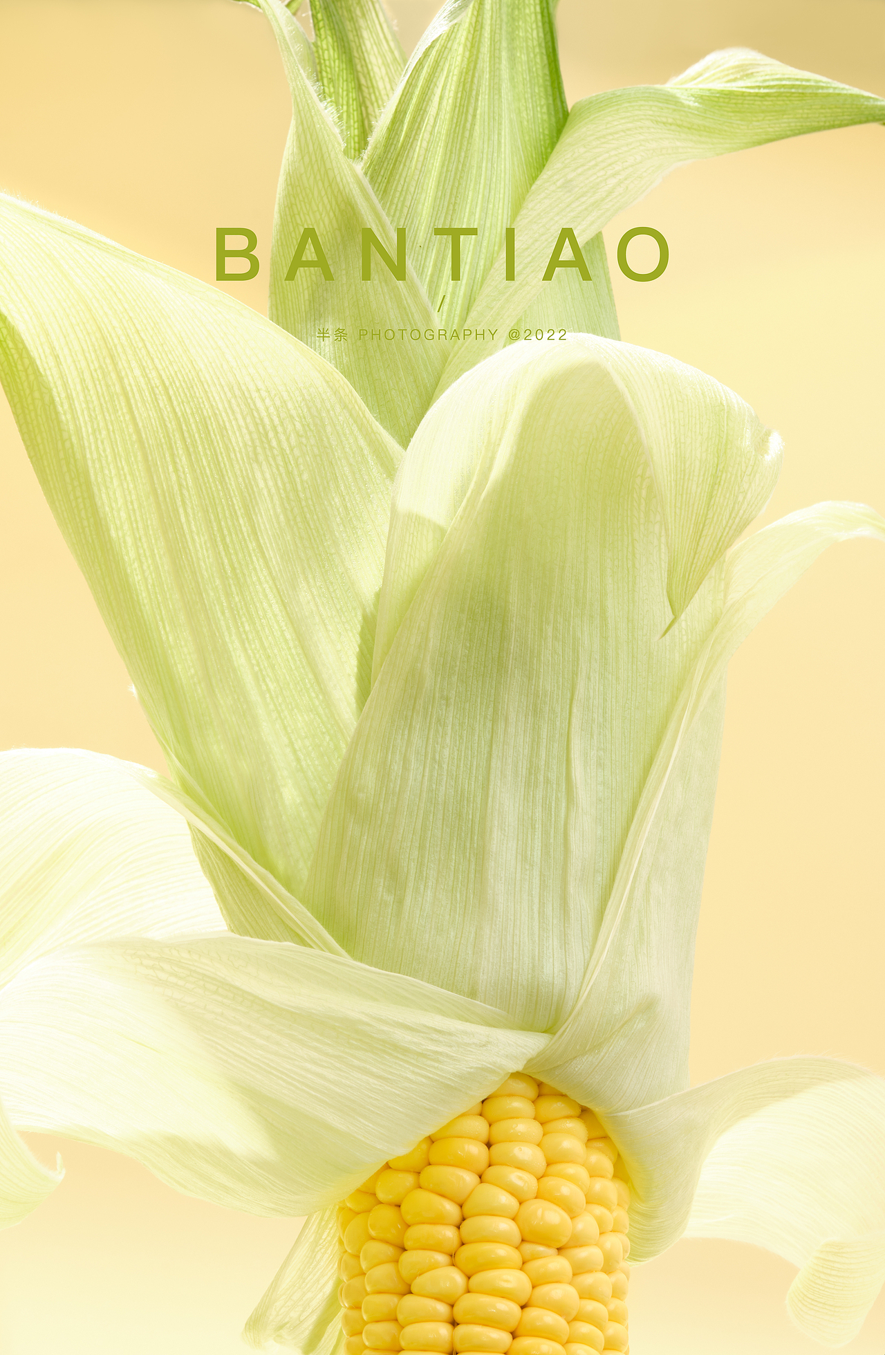 原创作品摄影美食摄影静物摄影丨豌豆粒208半条光影蔬菜图片4美食摄影