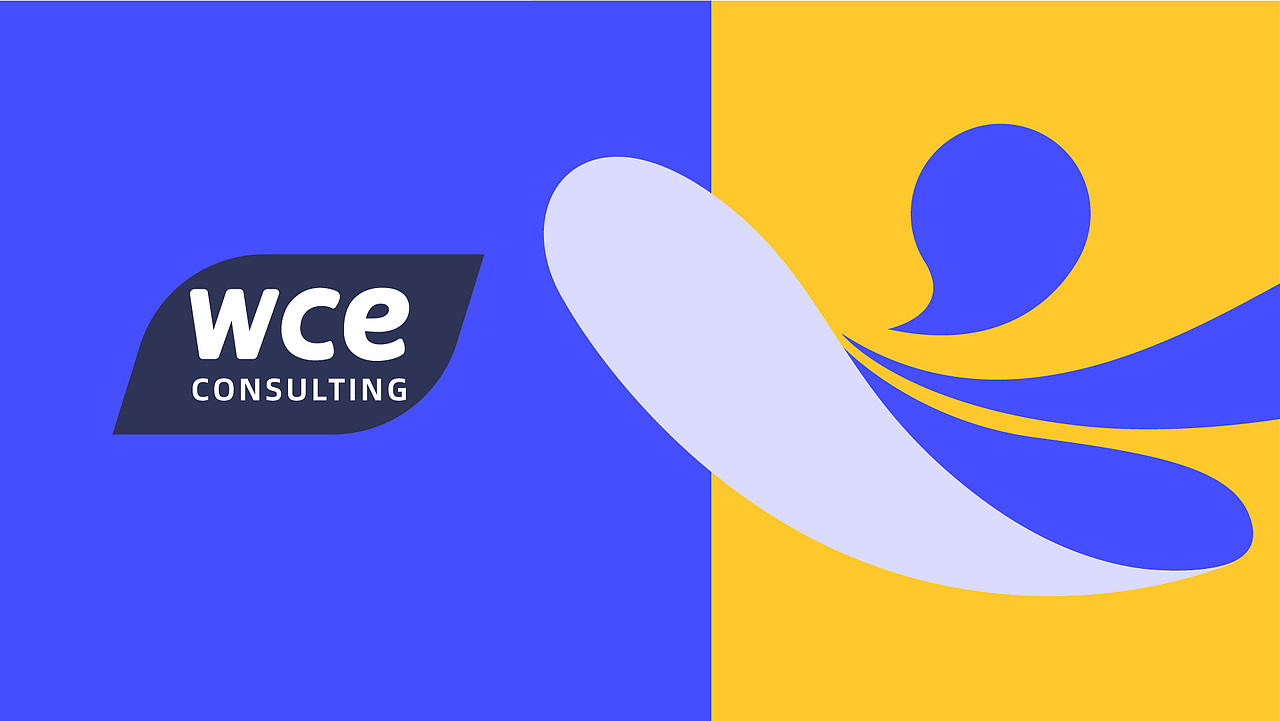 wce品牌设计(坚果咨询)