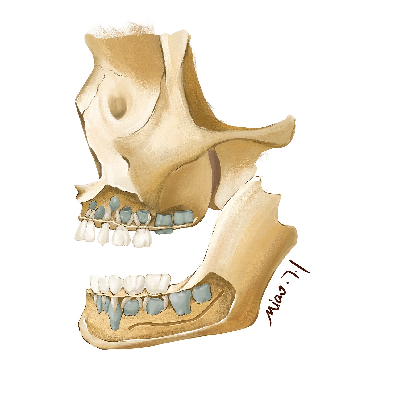 最近所画医疗插画（图ZMzEwNzM1NDg0） - 商业插画 - 站酷设计师猴猴瓜子脸么么原创素材 - 站酷ZCOOL