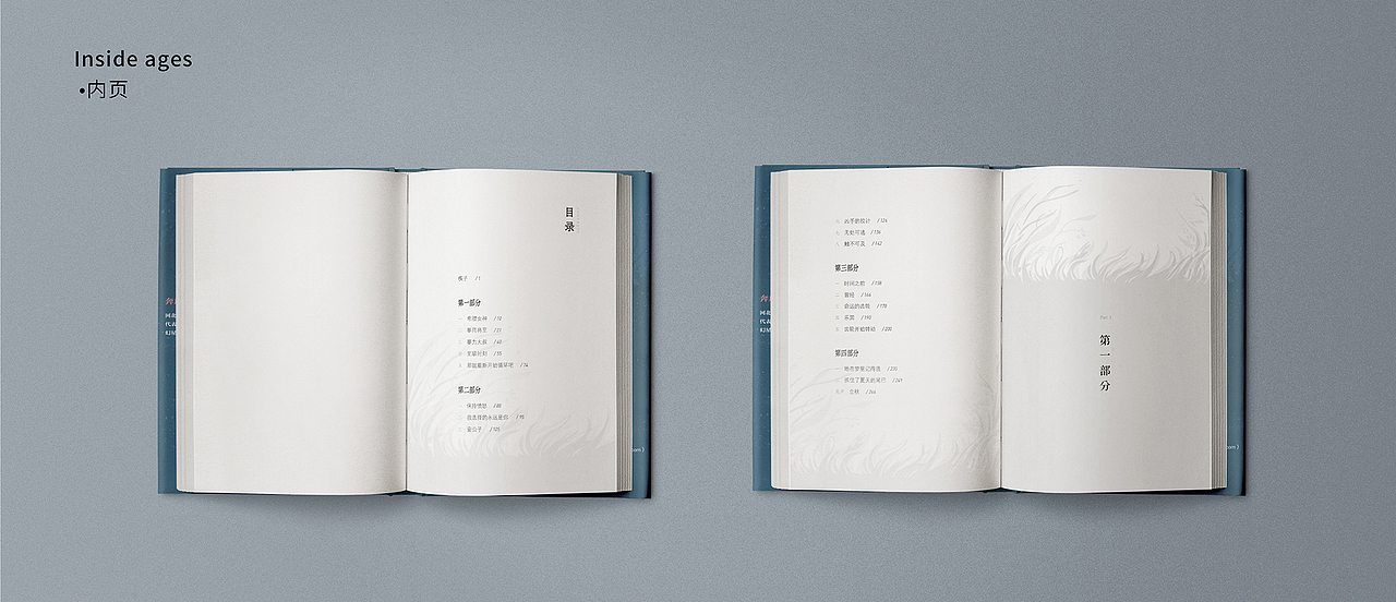 《停留在夏天的人》书籍封面插画绘制+设计