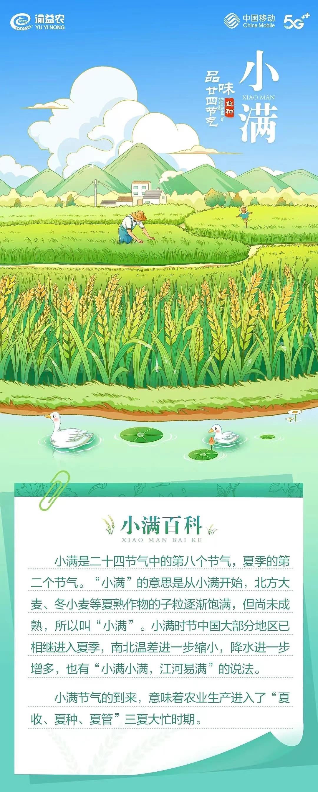 二十四节气之： 小满（图ZMzU1NDIxODI0） - 商业插画 - 站酷设计师戴月y原创素材 - 站酷ZCOOL