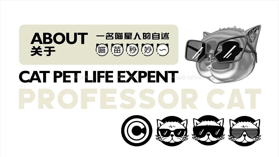 【SKYONES 作品】PROFESSOR CAT猫宠品牌2.0视觉设计（图ZMzE4Mzg5MjEy） - 品牌 - 站酷设计师SKYONES天一空间原创素材 - 站酷ZCOOL