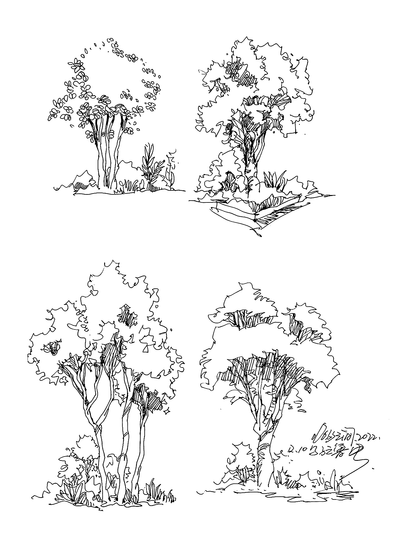 树的练习,关于园林。
