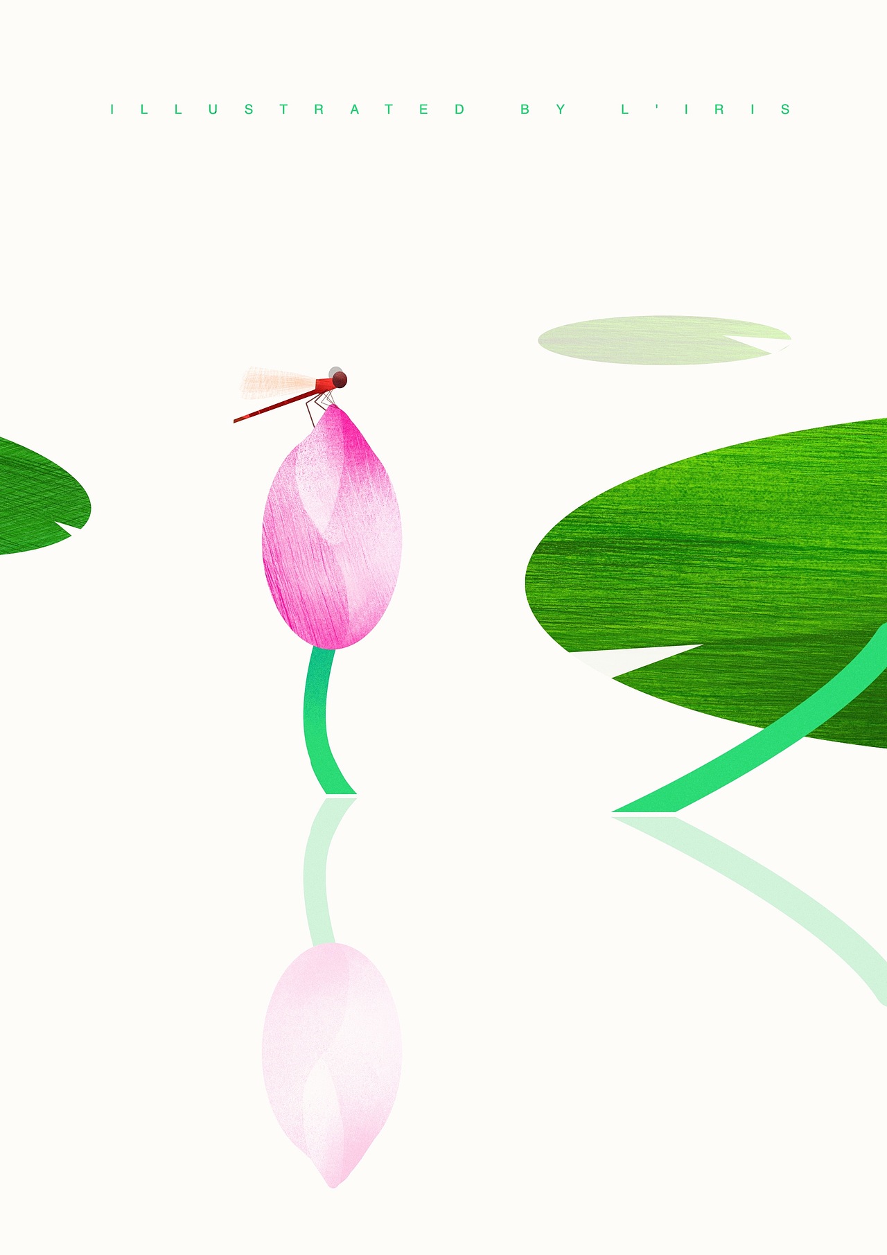 新国风插画 | SUMMER LOTUS——夏日“荷”集