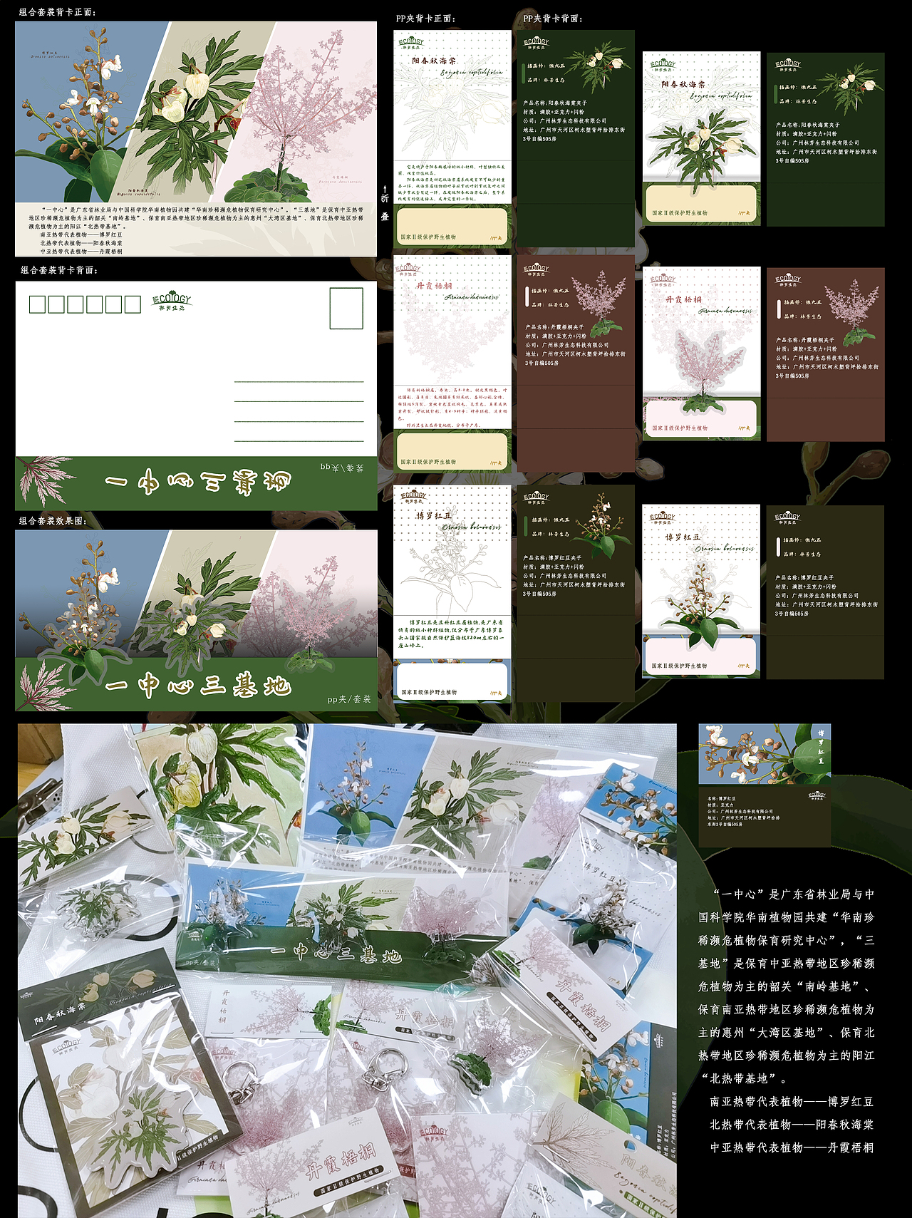 插画文创周边——植物篇（图ZMzAzNzk2Mzc2） - 品牌 - 站酷设计师懒九五原创素材 - 站酷ZCOOL
