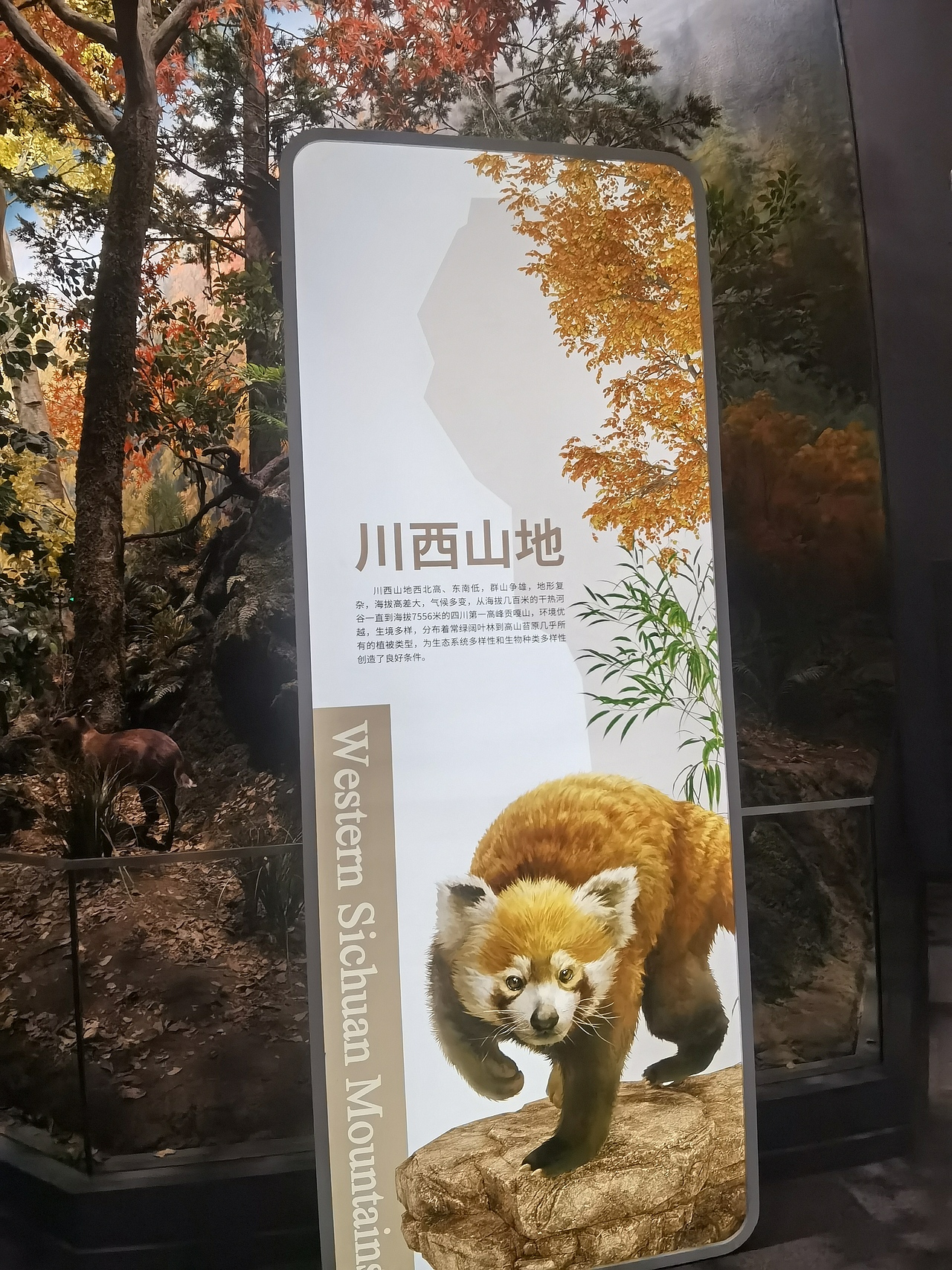 成都自然博物馆（图ZMzI0NTI3ODI0） - 展陈设计 - 站酷设计师聚光灯下锦衣夜行原创素材 - 站酷ZCOOL