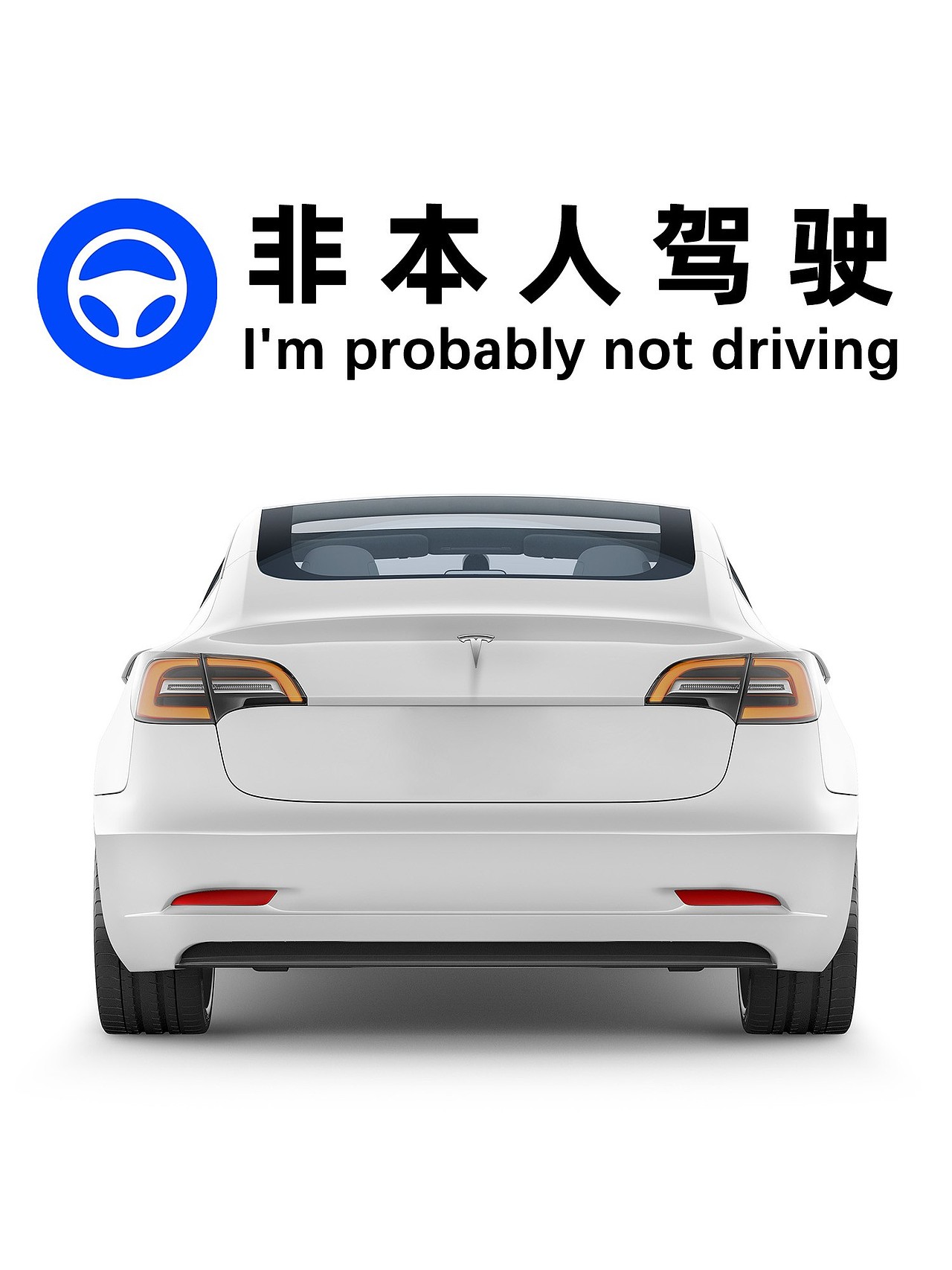 特斯拉专用车贴