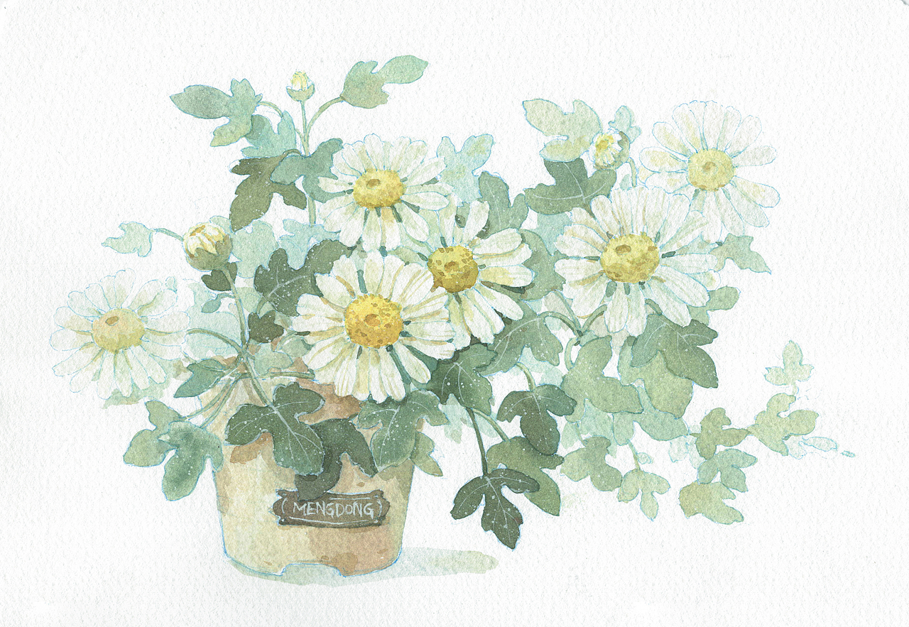 近期一些花卉作品