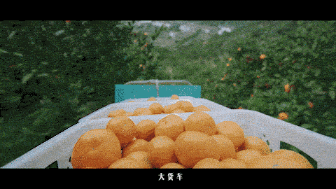 WOUN. x 顺丰速运｜第一公里就是99%